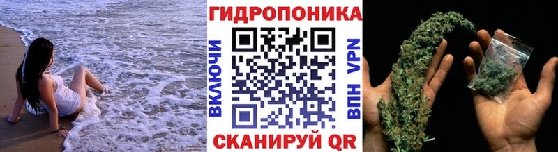 Что такое Красный Кут Конопля  COCAIN  ГАШ 