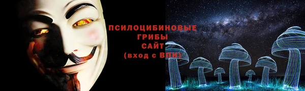хмурый Алзамай