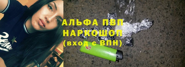 хмурый Алзамай