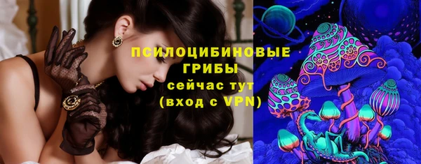 хмурый Алзамай