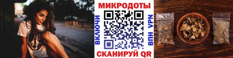 Псилоцибиновые грибы Psilocybe  Красный Кут 